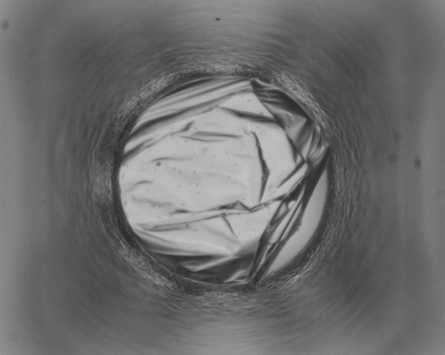 X0000062650681200601181810