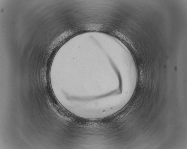 X0000062650682200601181810