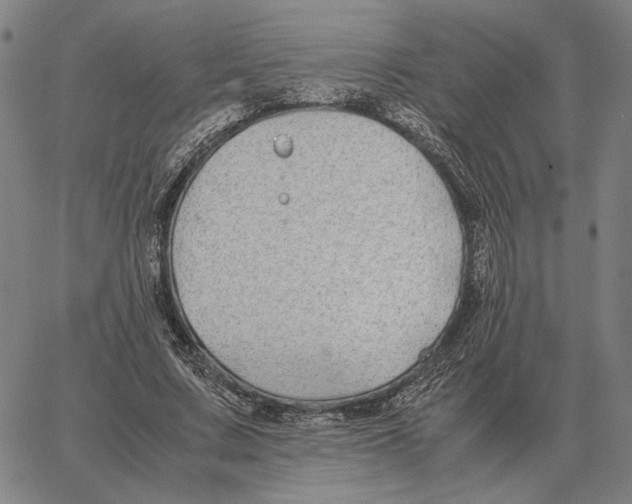 X0000062650683200601181810