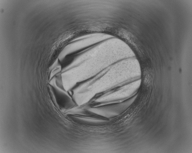 X0000062650685200601181810