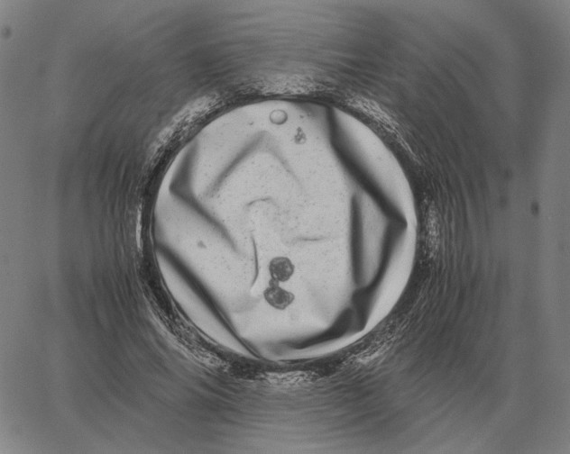 X0000062650686200601181810