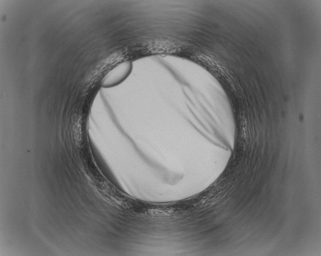 X0000062650690200601181810