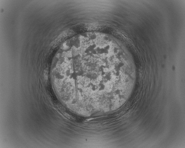 X0000062650691200601181810