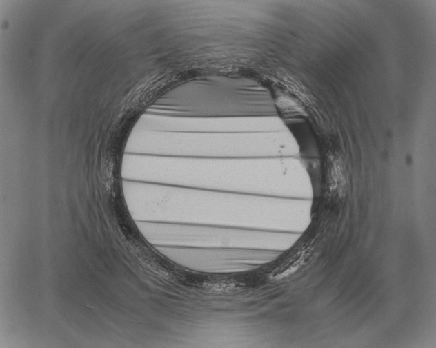 X0000062650693200601181810