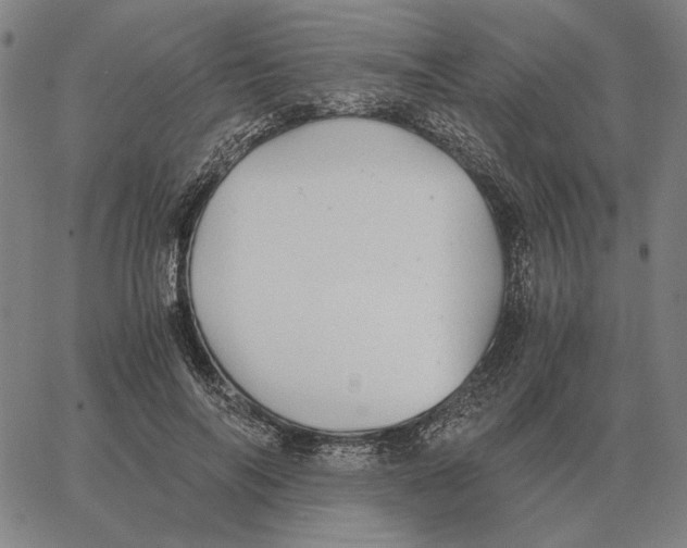 X0000062650694200601181810