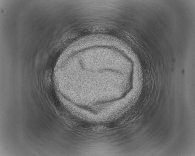 X0000062650695200601181810