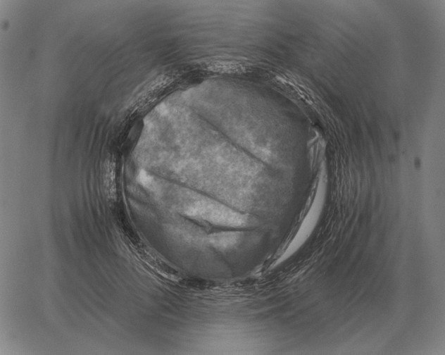 X0000062650696200601181810