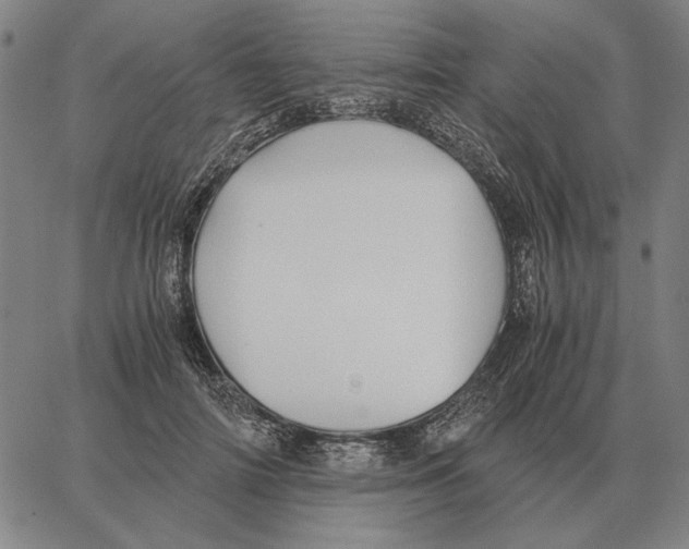 X0000062650698200601181810