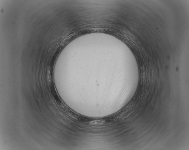 X0000062650700200601181810