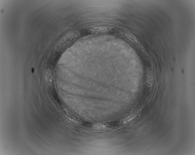 X0000062650701200601181810