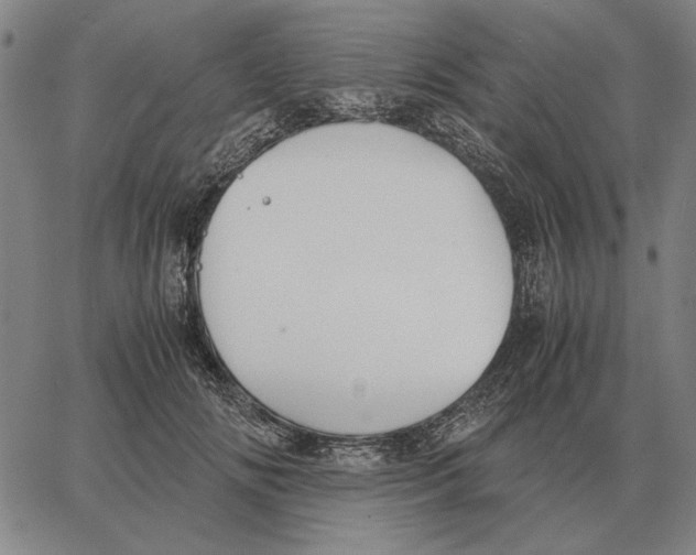 X0000062650702200601181810