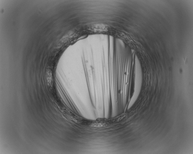 X0000062650704200601181810