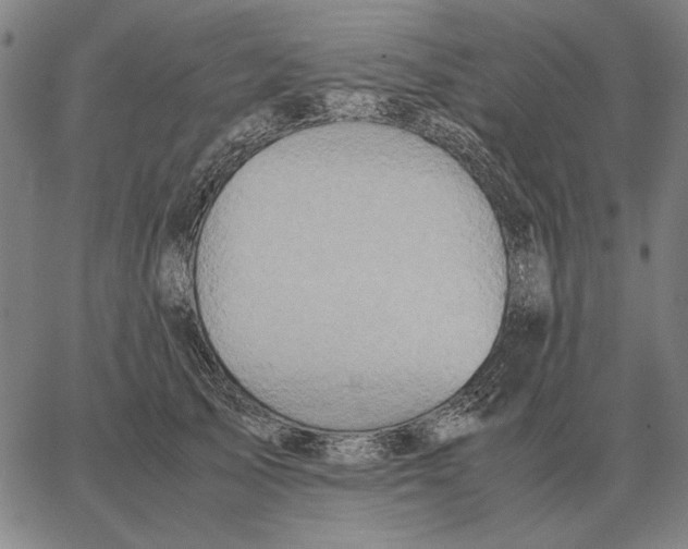 X0000062650705200601181810