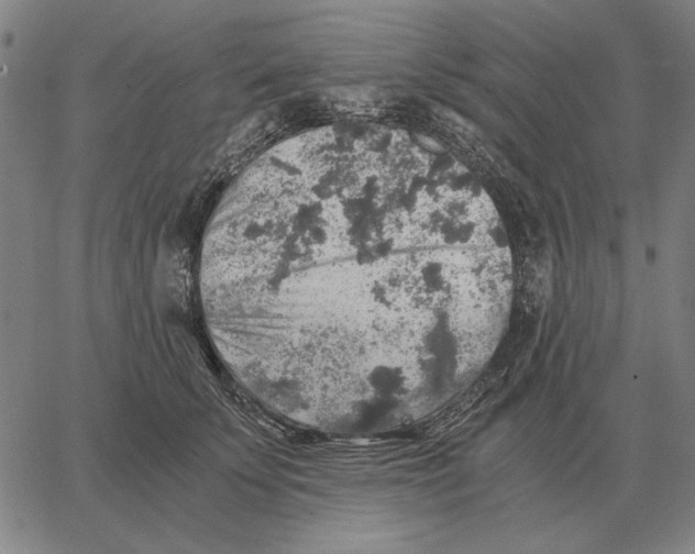 X0000062650707200601181810