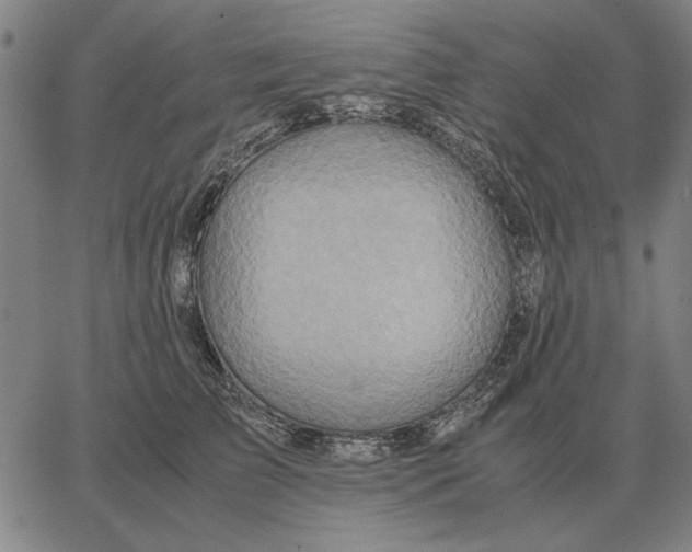 X0000062650709200601181810