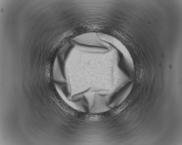 X0000062650710200601181810