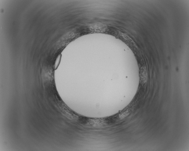 X0000062650713200601181810