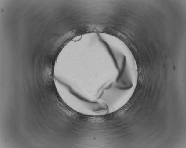 X0000062650714200601181810