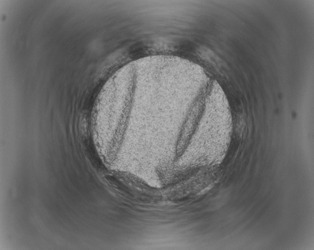 X0000062650715200601181810