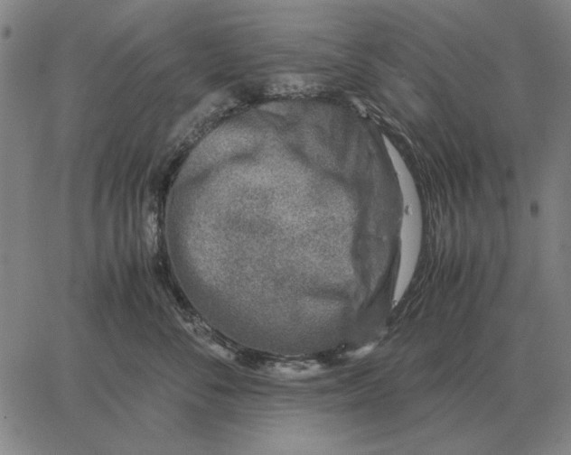 X0000062650716200601181810