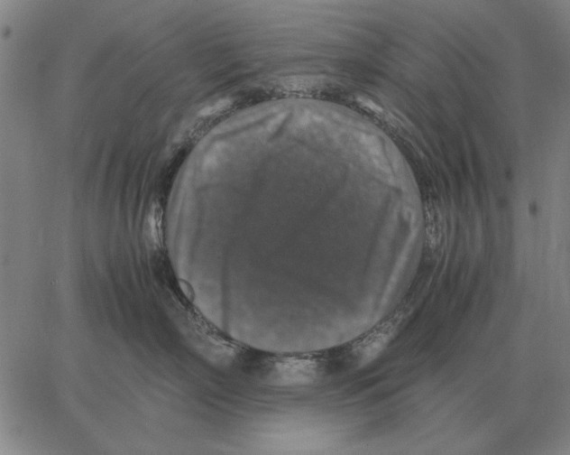 X0000062650718200601181810