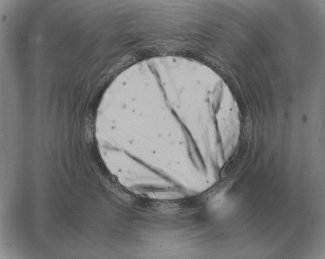 X0000062650719200601181810