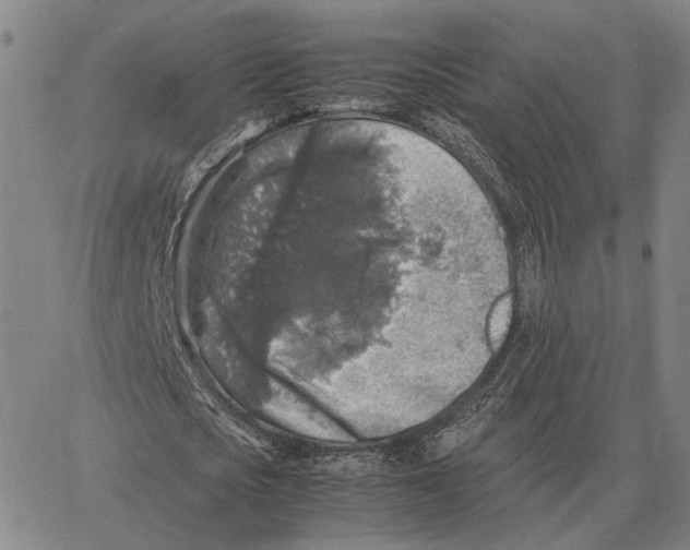 X0000062650721200601181809