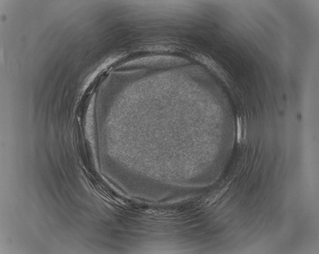 X0000062650723200601181809