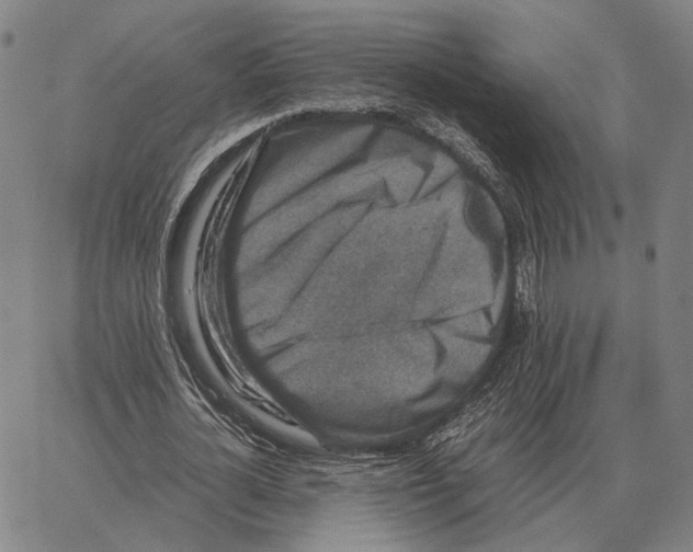 X0000062650724200601181809