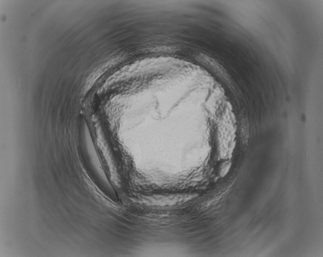 X0000062650725200601181809