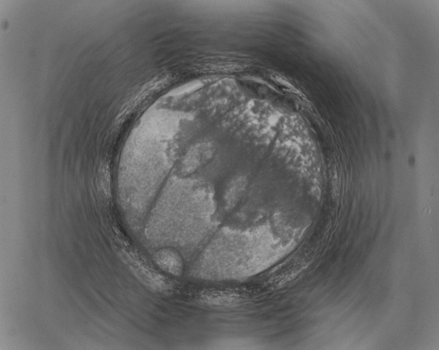 X0000062650729200601181809