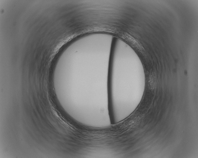 X0000062650732200601181809