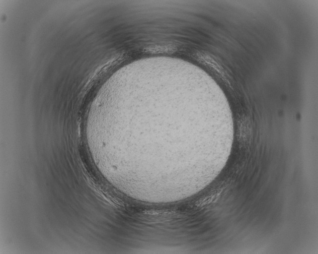 X0000062650733200601181809