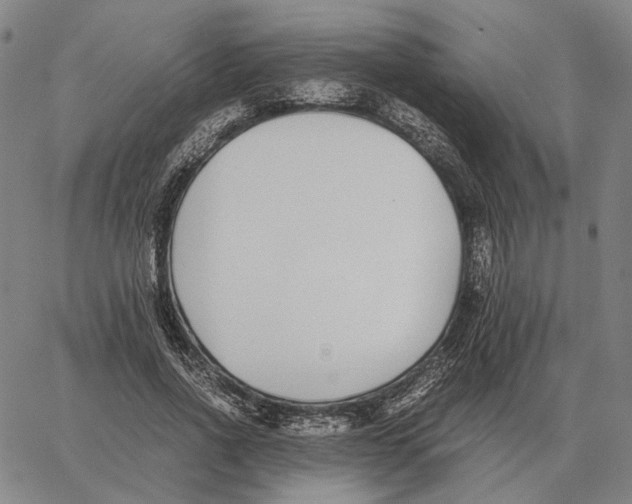 X0000062650734200601181809