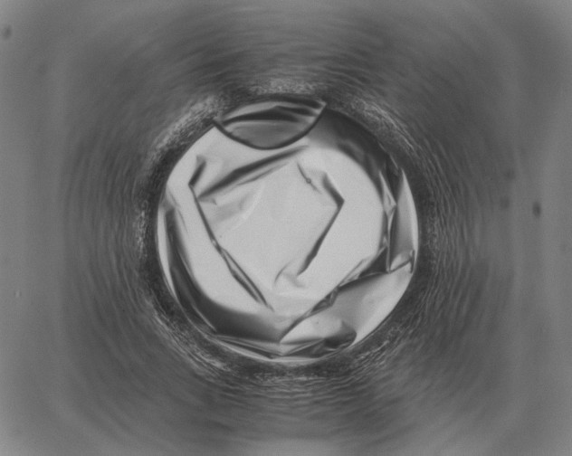 X0000062650735200601181809