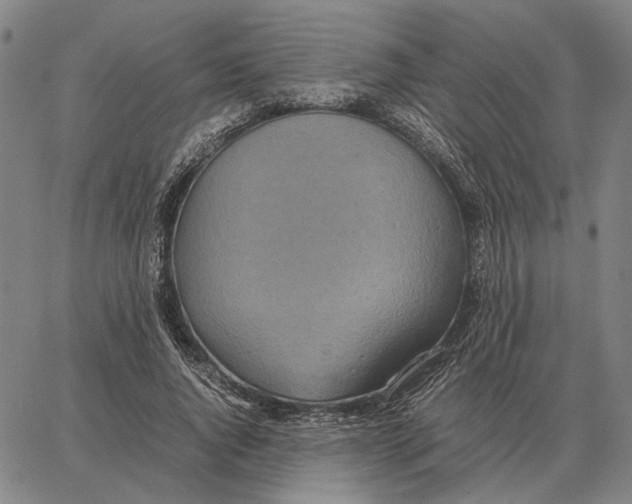 X0000062650736200601181809