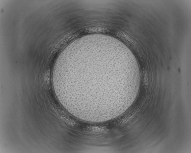 X0000062650737200601181809