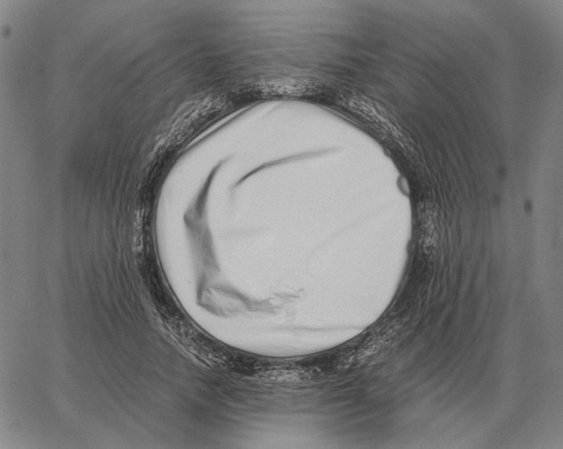 X0000062650738200601181809