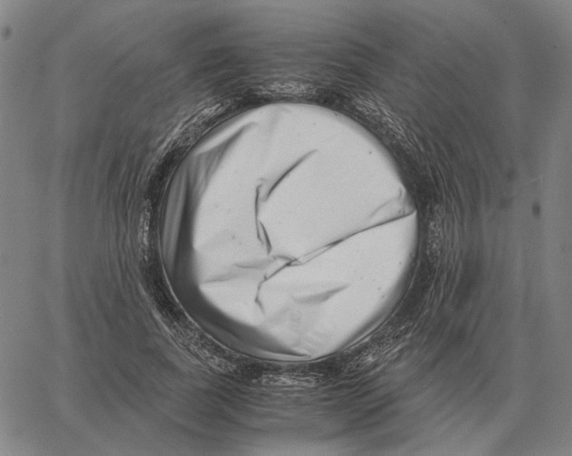 X0000062650739200601181809