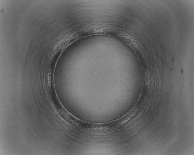 X0000062650740200601181809