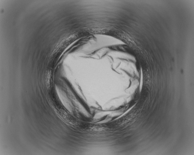 X0000062650742200601181809