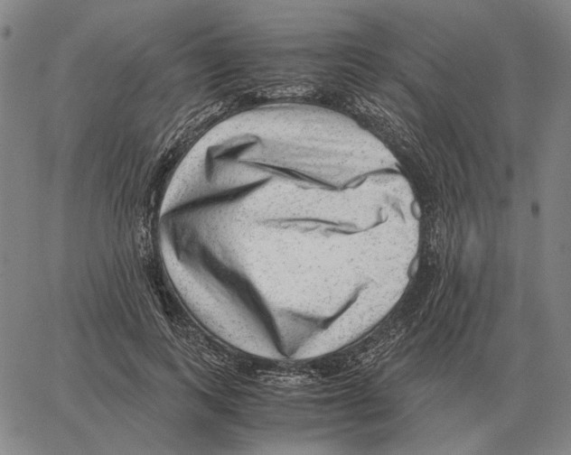 X0000062650743200601181809