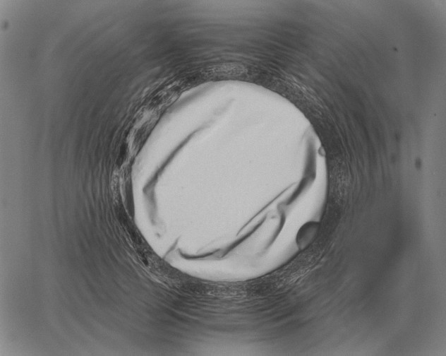 X0000062650745200601181809