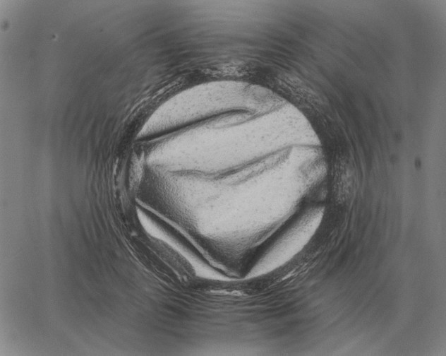 X0000062650747200601181809