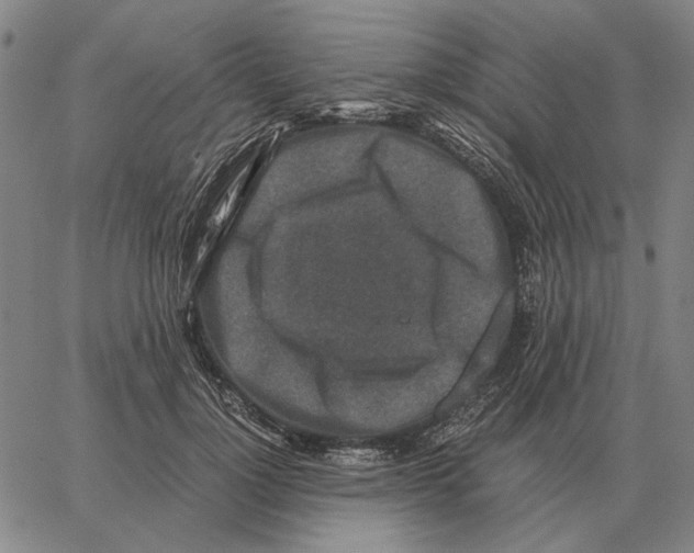 X0000062650748200601181809