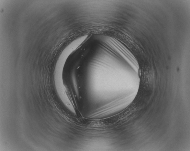 X0000062650750200601181809