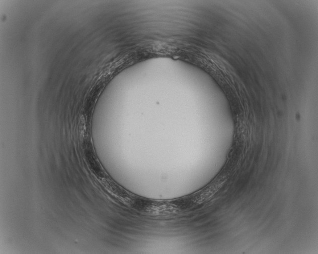 X0000062650752200601181809