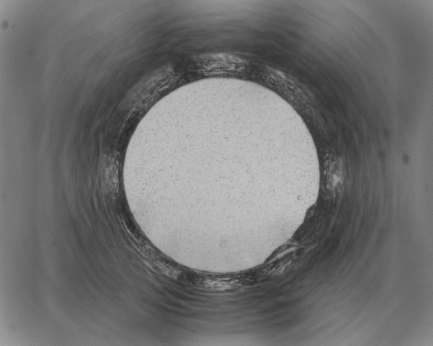 X0000062650753200601181809