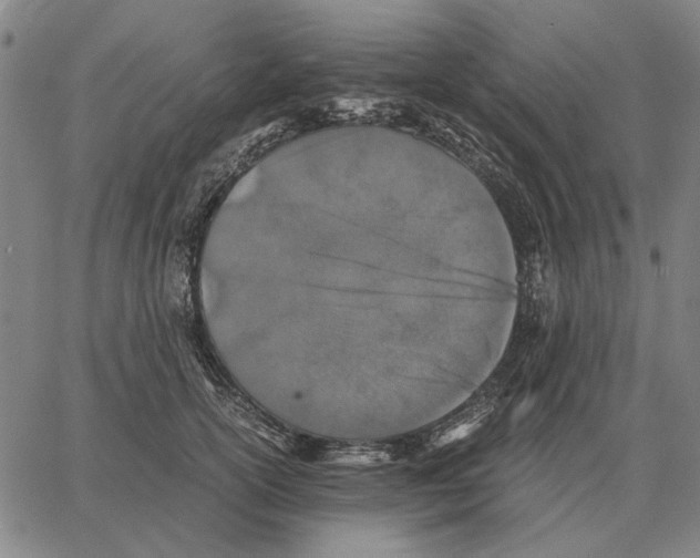 X0000062650754200601181809