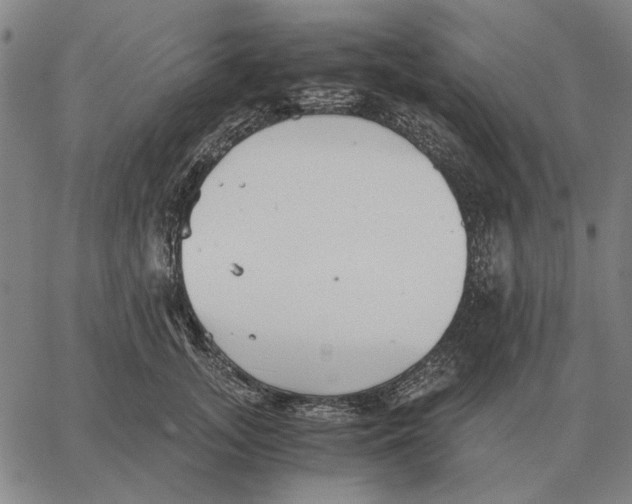 X0000062650755200601181809